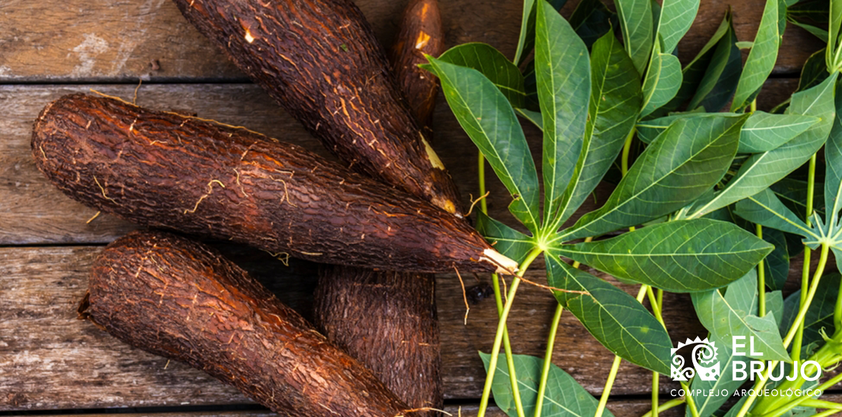 yuca origen